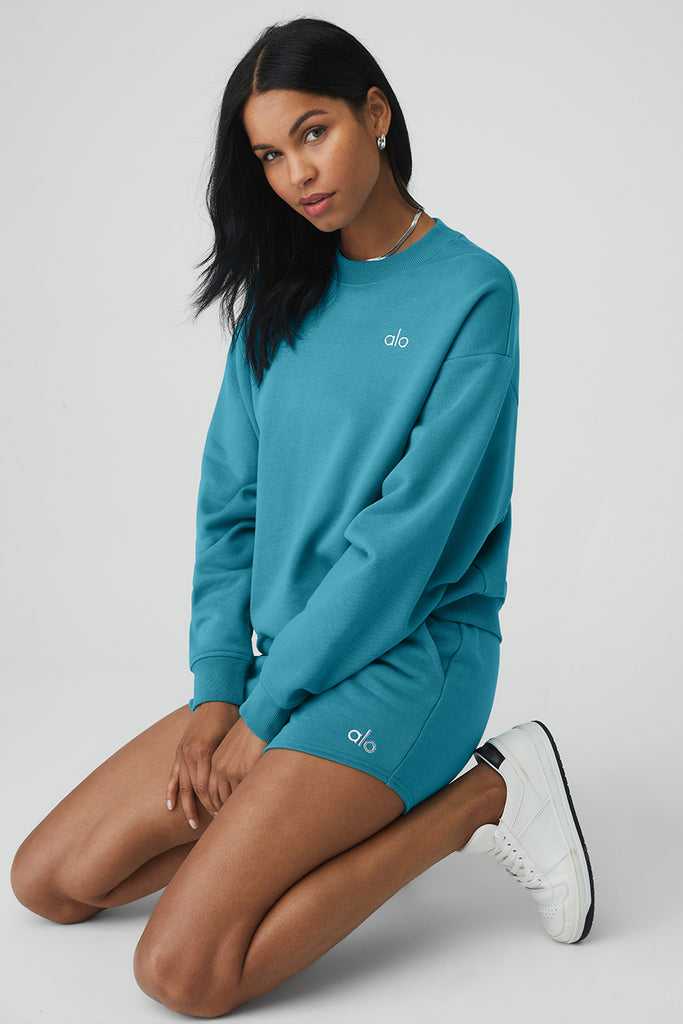Long Sleeve Alo Yoga Accolade Crew Neck Blankyt | JCWUQDF-28