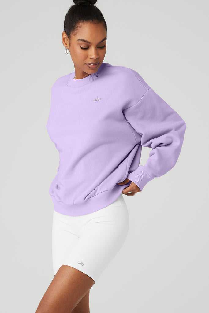 Long Sleeve Alo Yoga Accolade Crew Neck Fialové | LVNXMHG-39