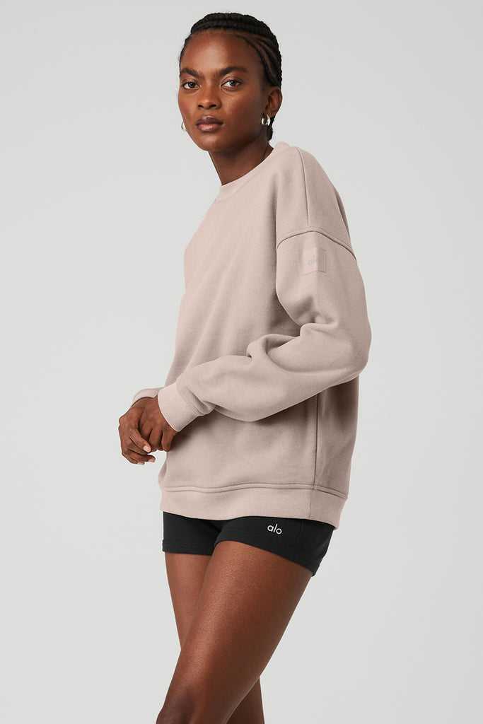 Long Sleeve Alo Yoga Renown Heavy Weight Crew Neck Šedé Hnědé | VZTFCWQ-25