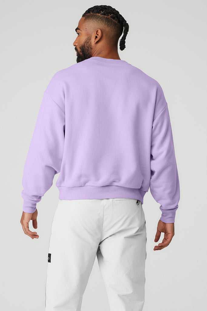 Mikiny S Kapucí Alo Yoga Accolade Crew Neck Fialové | EMNTFHS-50