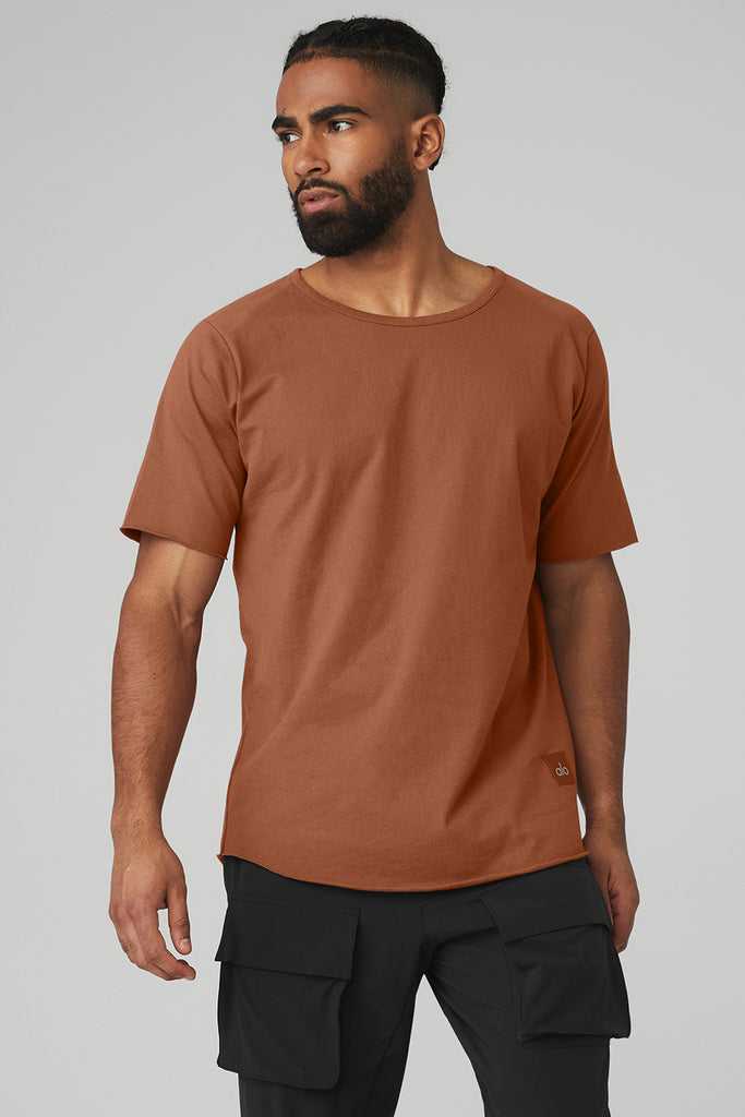 Short Sleeve Alo Yoga Society Crewneck Tee Červené | ZFCXVUM-63