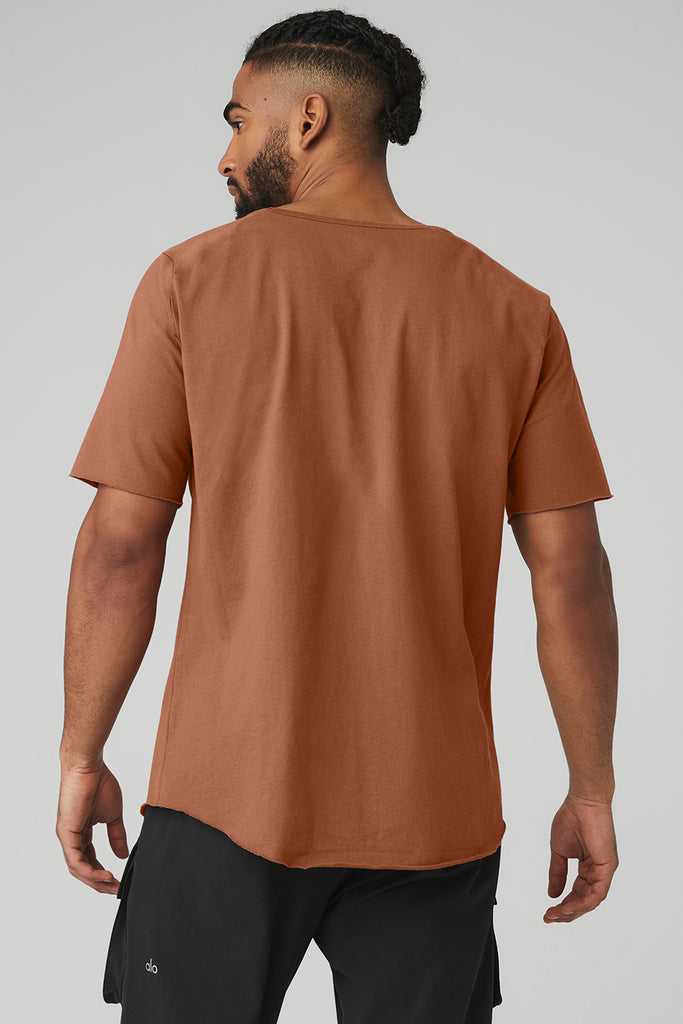 Short Sleeve Alo Yoga Society Crewneck Tee Červené | ZFCXVUM-63