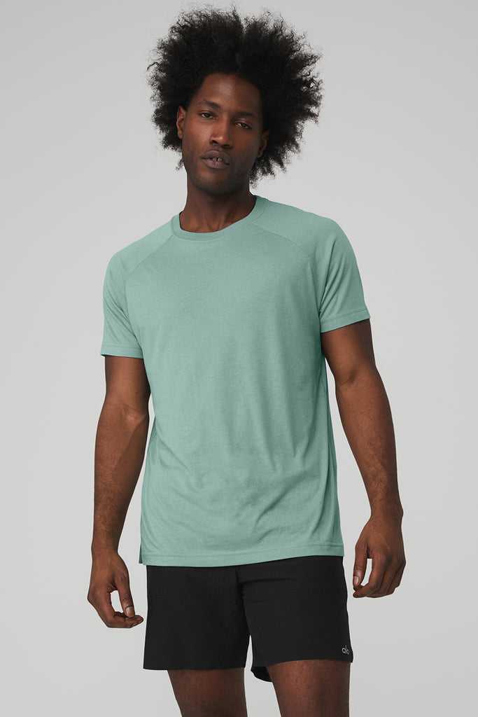 Short Sleeve Alo Yoga The Triumph Crew Neck Tee Blankyt | LTHYKVP-48
