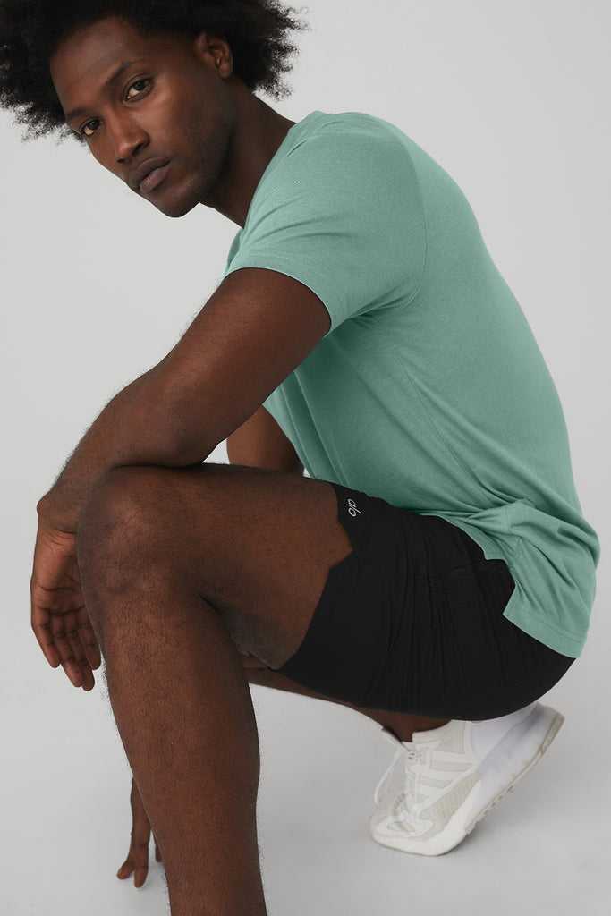 Short Sleeve Alo Yoga The Triumph Crew Neck Tee Blankyt | LTHYKVP-48