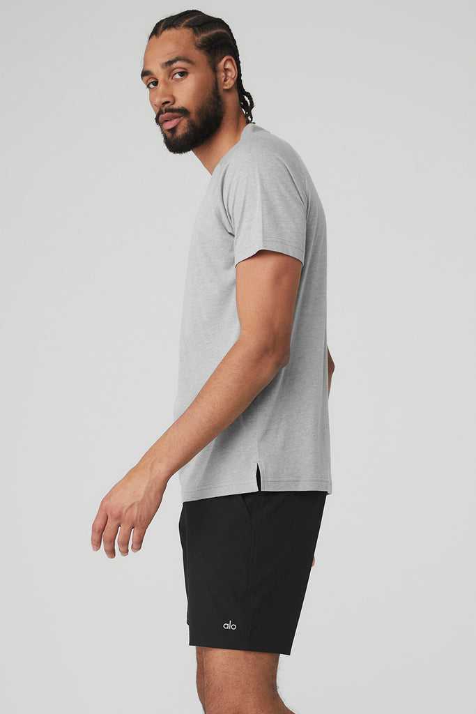 Short Sleeve Alo Yoga The Triumph Crew Neck Tee Šedé | MTPSRKF-54