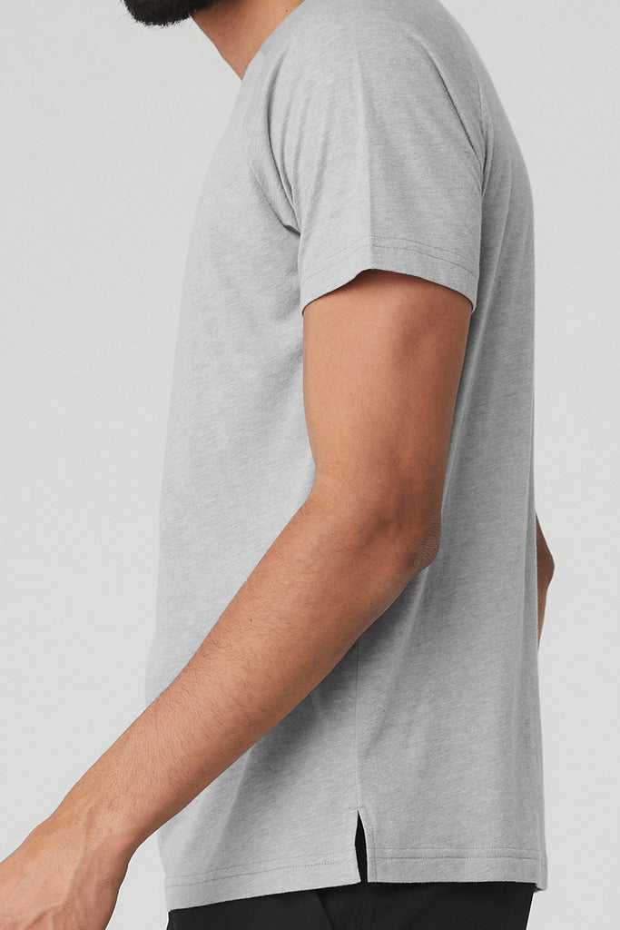 Short Sleeve Alo Yoga The Triumph Crew Neck Tee Šedé | MTPSRKF-54