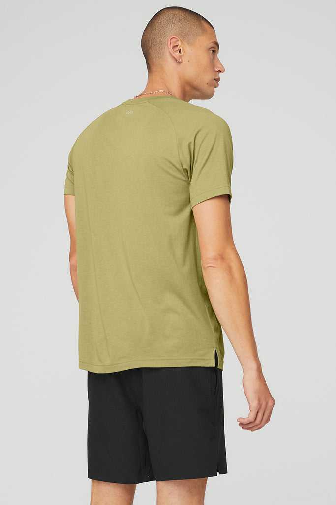 Short Sleeve Alo Yoga The Triumph Crew Neck Tee Hořčice | XTAKSLQ-69